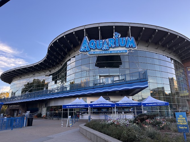 Downtown Aquarium photo 1