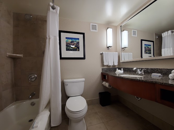 Hilton Garden Inn Denver Downtown photo 3