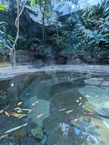 Schlessman Family Foundation Tropical Discovery