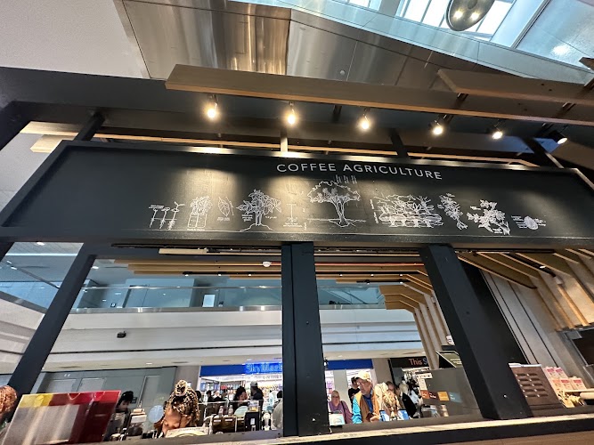Starbucks Coffee Company