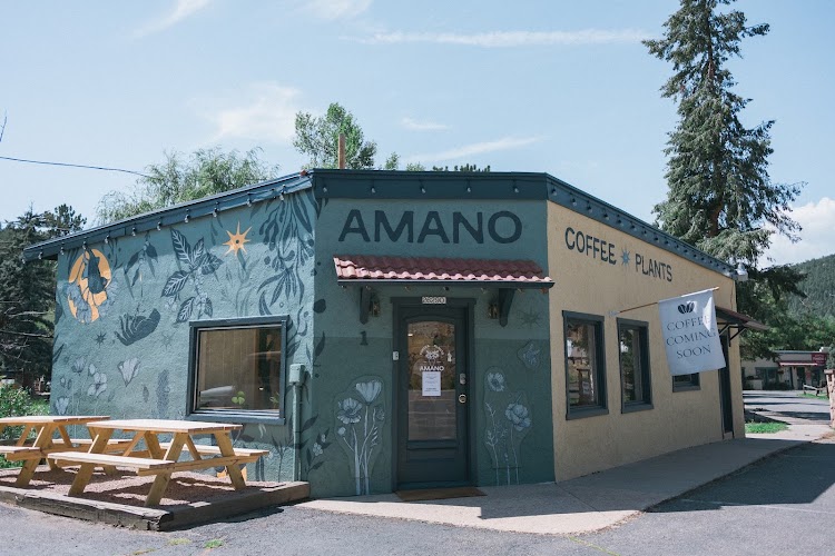 Amano Coffee & Plants photo 1