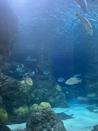 Denver Aquarium photo 1