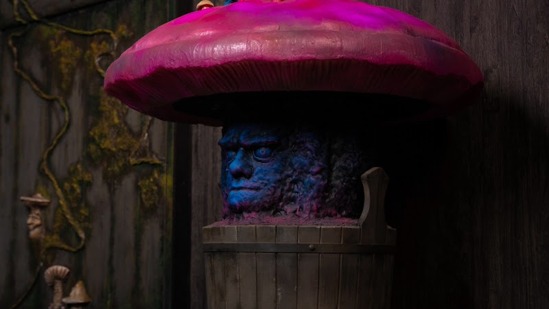4 Dreams Escape Game - Denver