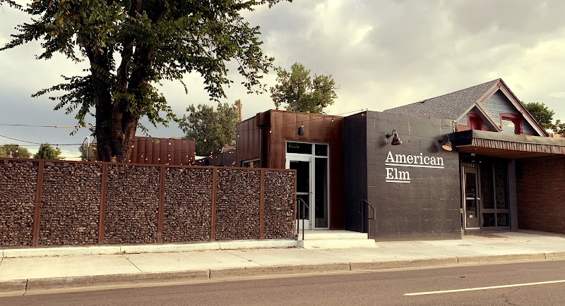 American Elm photo 3